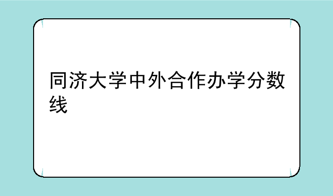 同济大学中外合作办学分数线