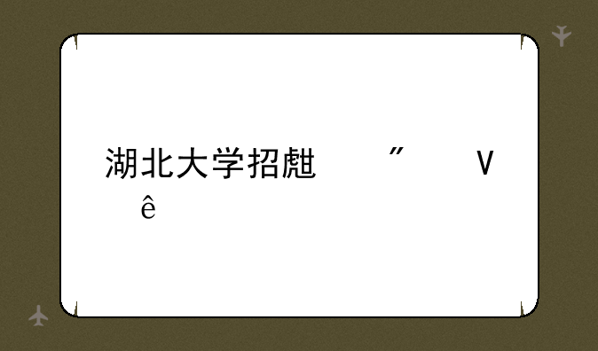 湖北大学招生分数线