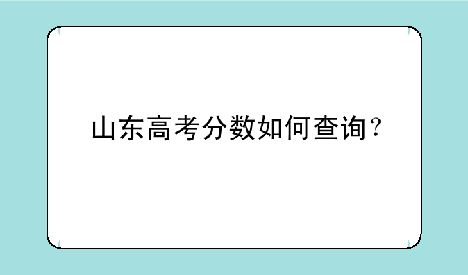 山东高考分数如何查询？