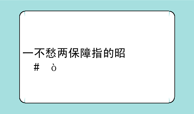 一不愁两保障指的是什么？
