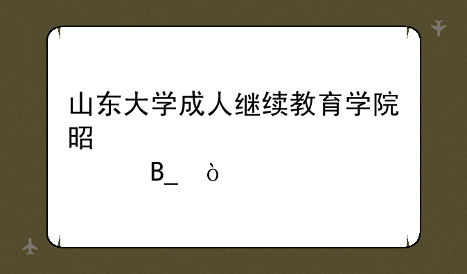 山东大学成人继续教育学院是正规学校吗？