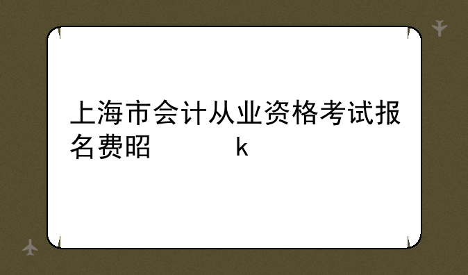 上海市会计从业资格考试报名费是多少