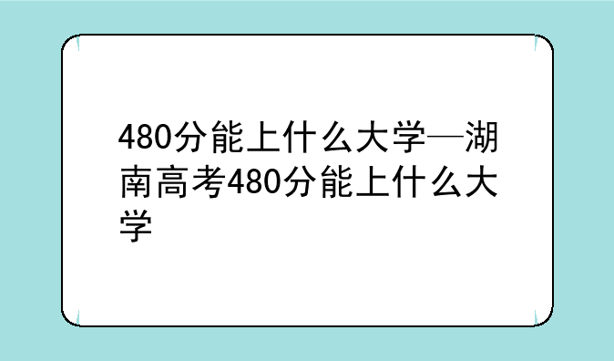 480分能上什么大学—湖南高考480分能上什么大学