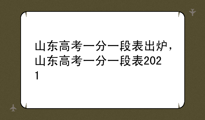 山东高考一分一段表出炉，山东高考一分一段表2021