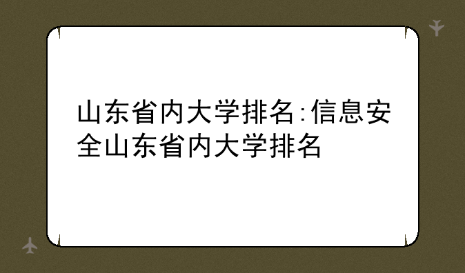山东省内大学排名:信息安全山东省内大学排名